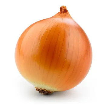 onion (7)-6626101-68302.webp